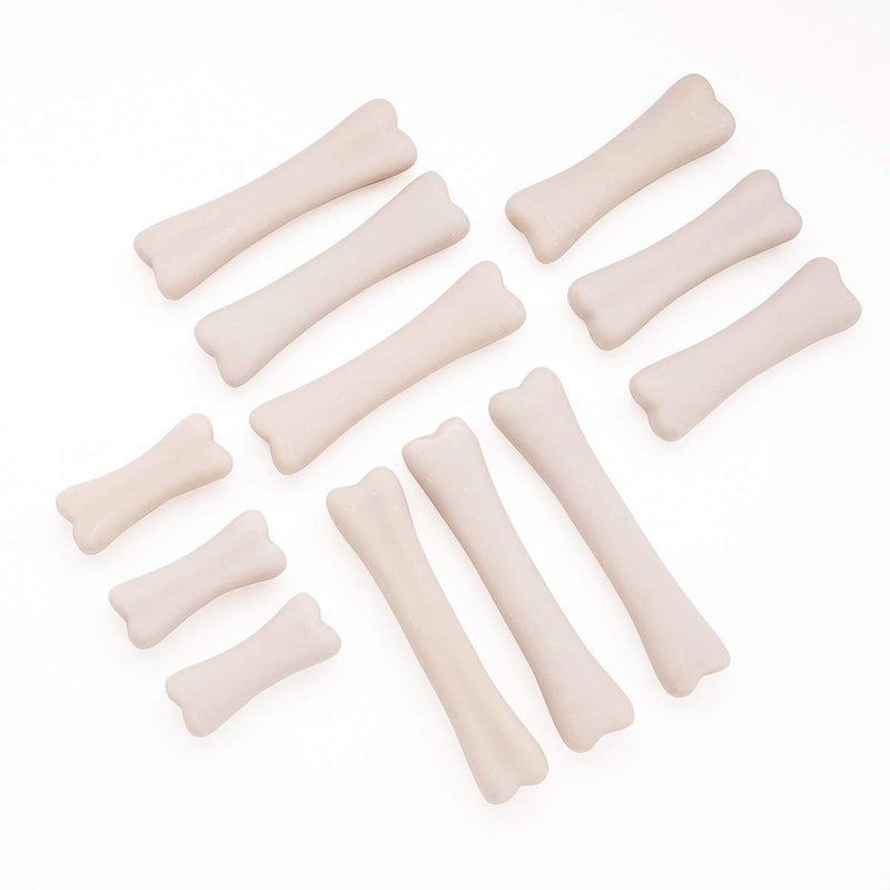 Yellow Door YUS1038 Dinosaur Bones Discovery Set (Pack of 12) - Image 2
